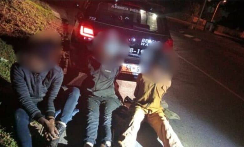 Suspects involved in cable theft were caught red-handed in Welties.
