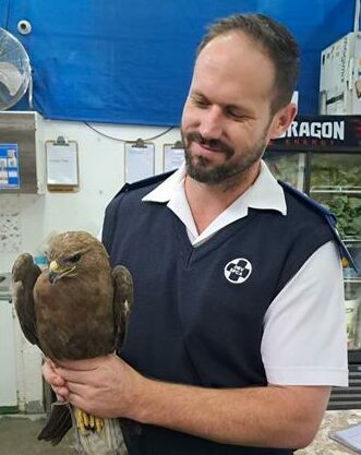 The bird found in Robertville is believed to have suffered a concussion.