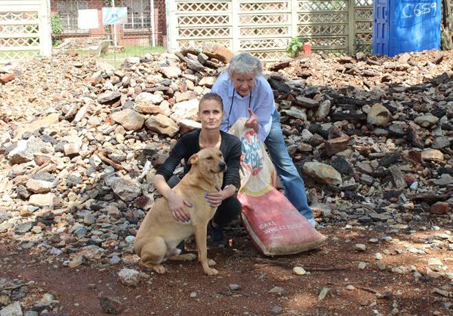 The animal welfare organisation has appealed for help from the community after their entrance gate was damaged by a water truck.
