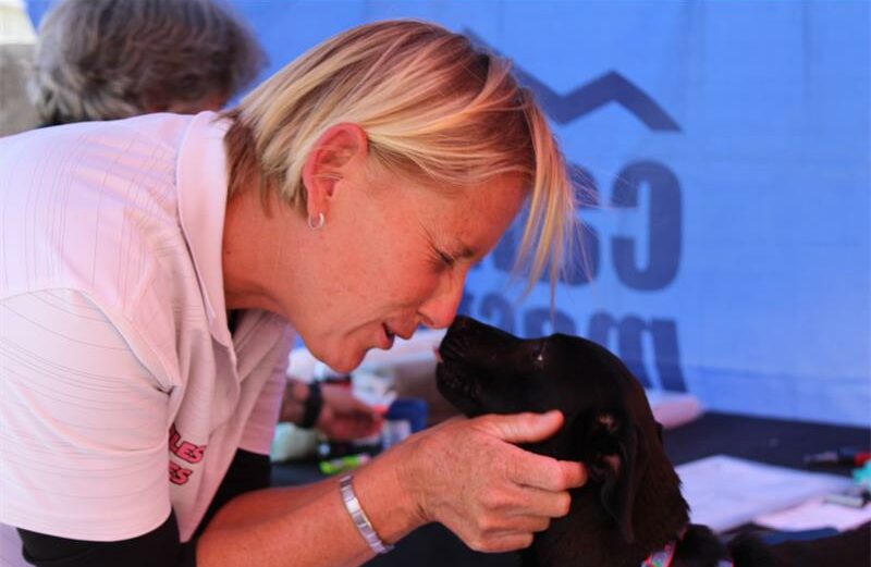 The day showed how a simple step taken towards animal safety can make a big difference, should pets go missing.