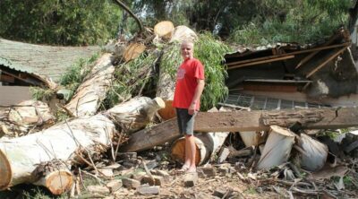 A fallen tree caused significant damage to a car as well as one of the buildings.