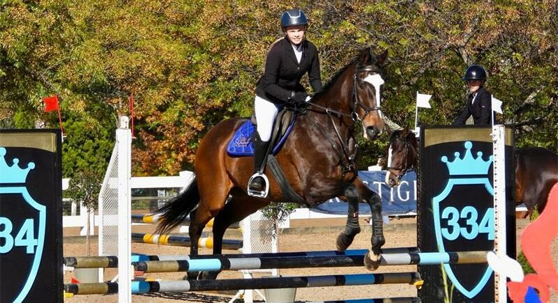 From first-time successes to hard-earned placings, the team made its mark at the provincial competition.