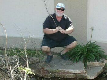 The tree's roots are eroding because of a leaking underground water pipe, and residents fear it may fall over any day.