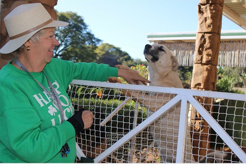The day was more than just about books; it allowed residents to make meaningful contributions towards the welfare of animals in need.