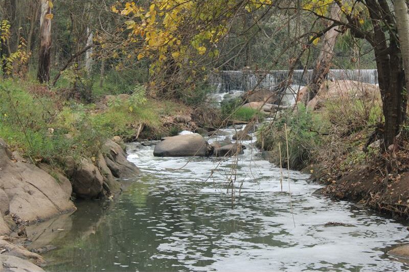 After months of complaints from residents, municipal officials have finally shed light on what is believed to be causing the pollution in the river and how they plan to fix it.