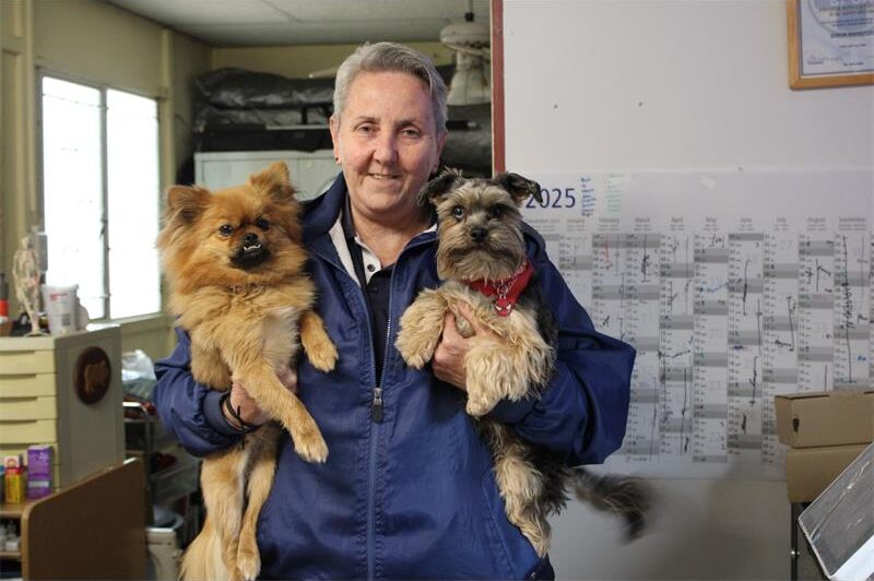 The funding will help the organisation strengthen security and maintenance after repeated attacks diverted resources away from animal care.
