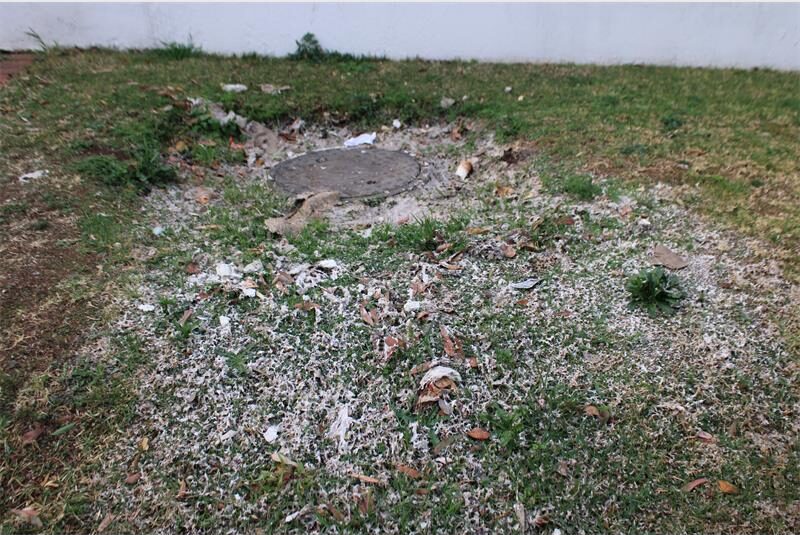 Johannesburg Water urges residents and businesses to keep fats out of the sewer system.