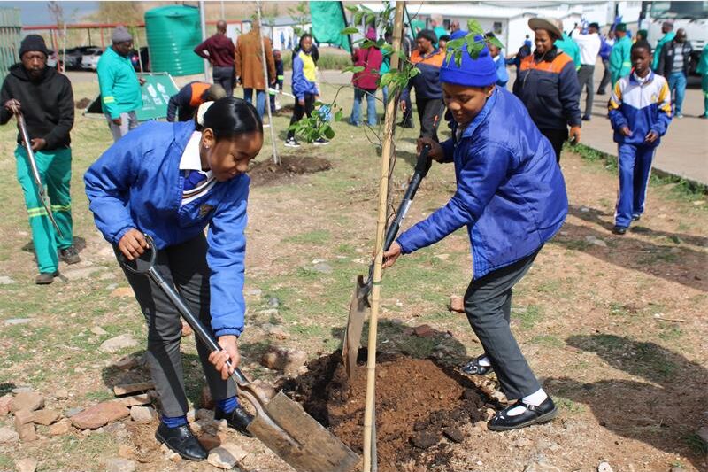 Learners received hands-on environmental education as environmentalists added indigenous white stinkwood trees to their school grounds.