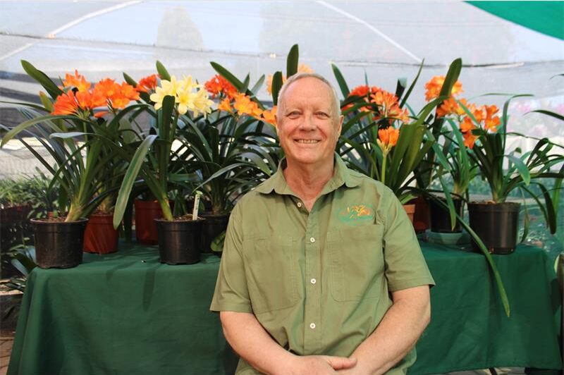 Retired horticulturist turns decades of experience into a colourful Clivia passion, sharing his knowledge and helping a new generation of growers bloom.