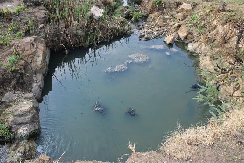 An upstream search reveals multiple new sewage leaks contaminating local watercourses despite recent pipe repairs.