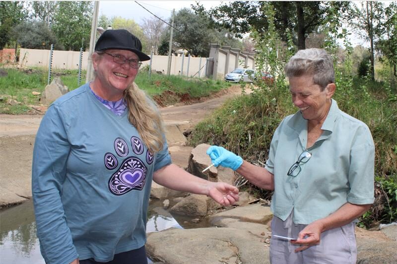 Volunteers are sampling local waterways to trace sewage entry points and investigate unexpected chemical readings following recent pipeline repairs.