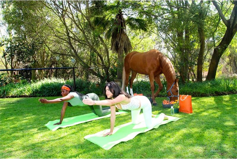 A boutique wellness retreat combining movement, mindfulness and majestic performance horses offers readers a rare chance to unwind in nature.
