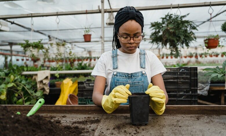 planting