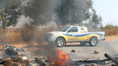 EMPD_75052