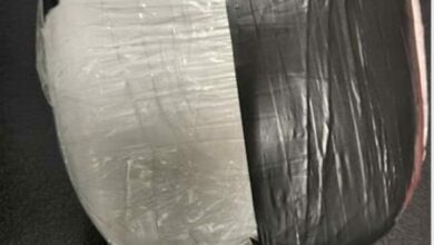 ORTAMBOBRICKCOCA_84015