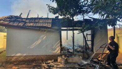 HibiscusStreethou_88197