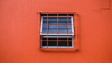 ElanaWagner-27-10-2022-Home-Criminals.2