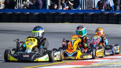 RMC_Roach_win_Micro (1)