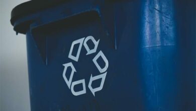 sigmund-aI4RJ--Mw4I_30594