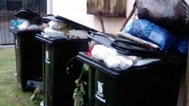 IMG-20230330-WA0009_43542