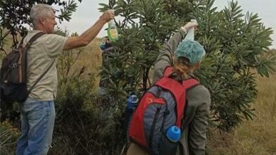 proteasprayers_35967