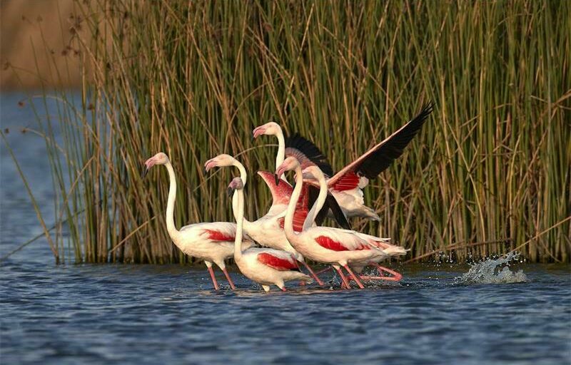 School learners joined educational activities to learn about wetland ecosystems, conservation, and the role of traditional knowledge in protecting these vital habitats.