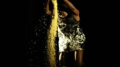 PhotoByJohnHogg_32343