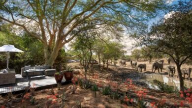 Screenshot-2023-04-13T113631.582-768x414