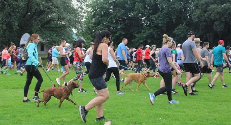 We urge the City of Ekurhuleni to repair the toilet facilities and cut the grass at Gillooly’s Farm says parkrunner