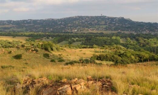Security and safe parking are provided opposite the entrance to Melville Koppies.