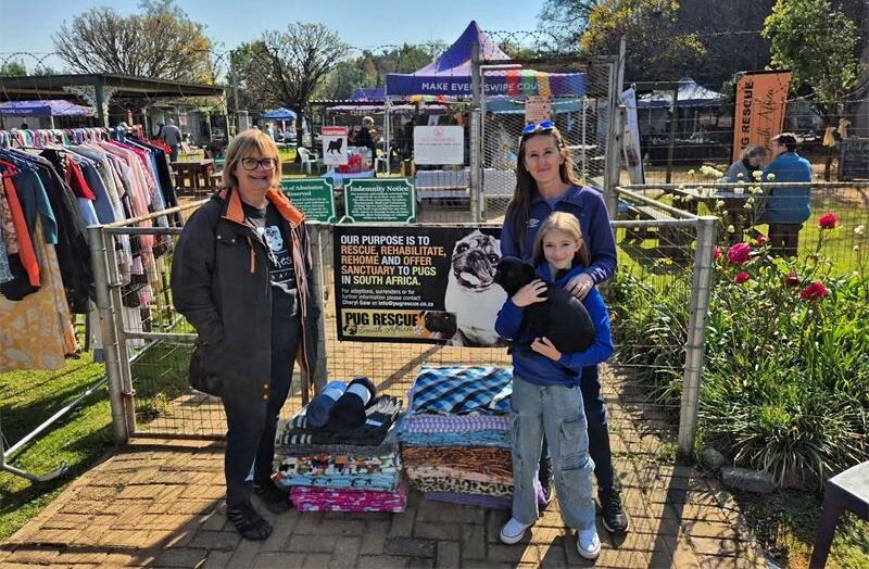 The annual Modderfontein blanket drive has grown to reach over 50 animal shelters, delivering 2,425 blankets this year alone. Volunteers and donors teamed up to help animals across Gauteng and remote areas.