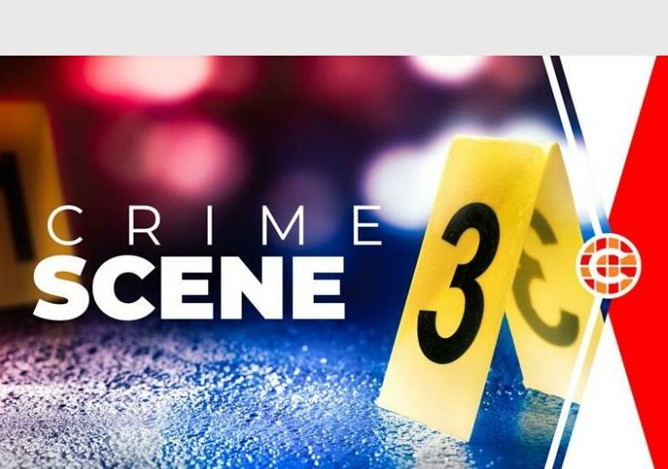 While Gauteng celebrates a nearly 8% reduction in serious crimes, new statistics reveal a disturbing 15.8% surge in kidnappings and the tragic deaths of 11 police officers. Discover the full insights from the provincial police commissioner's latest crime report.