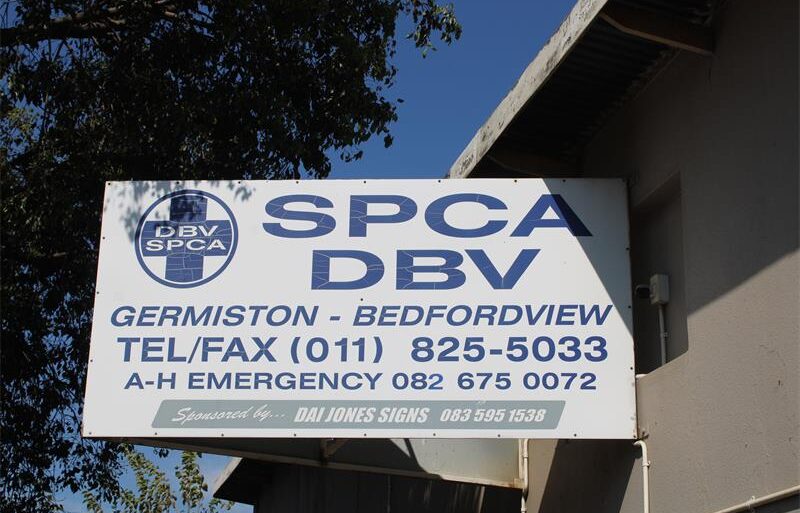 A donation from Silvasons Hardware and Building Supplies will help the Bedfordview/Germiston SPCA install running chains for dogs that need more space to move safely.