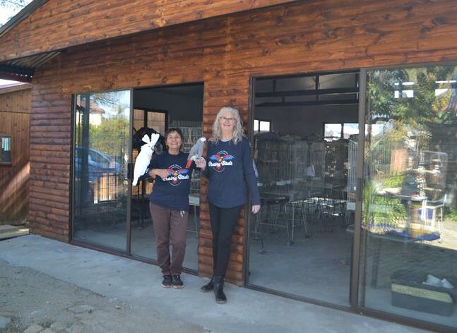 “At the sanctuary we a holistic approach towards the animals in our care.