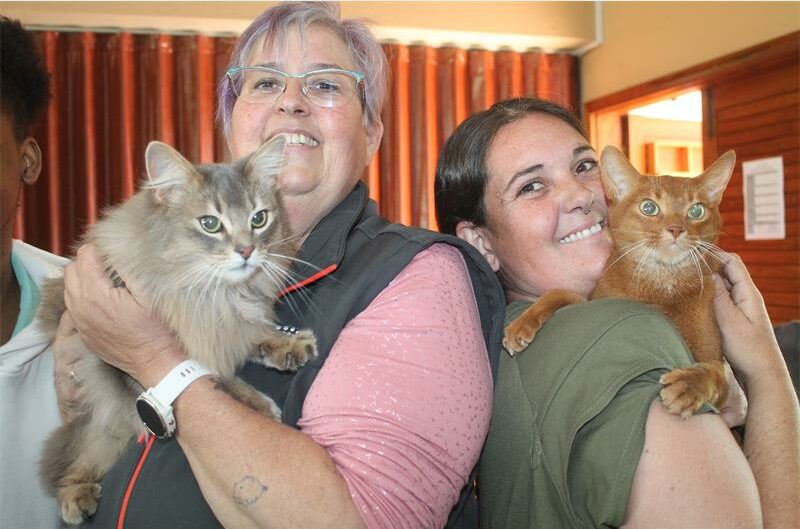 Top performers were awarded cat food sponsored by Royal Canin and were also honoured with rosette ribbons.