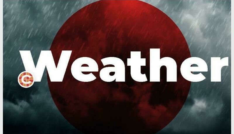 Municipal teams are clearing fallen trees and repairing damaged traffic lights after a severe storm hit Edenvale.