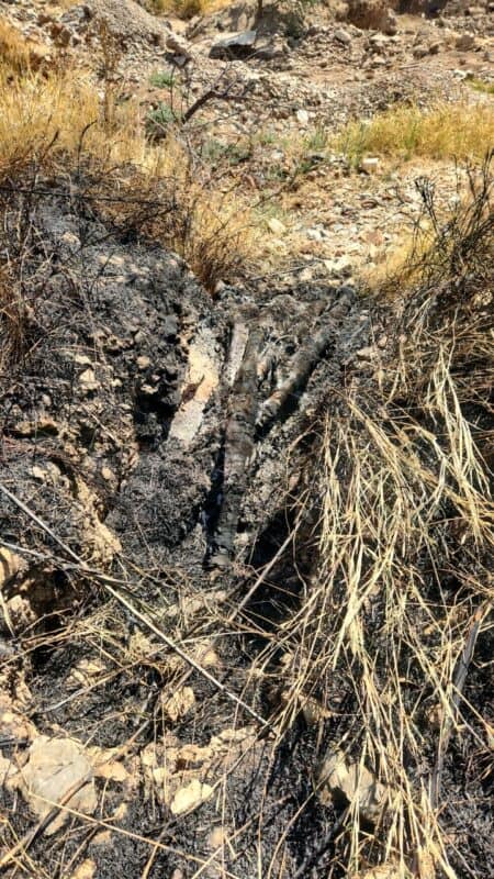 Parts of Highway Gardens, Harmelia, Buurendal, Meadowdale and Henville face power outages lasting up to six days after a veld fire damaged exposed cables.