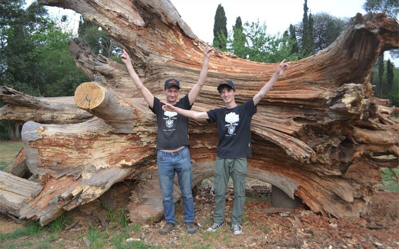 As Heritage Month begins, Edenvale community members are transforming the remains of a historic oak tree on Twelfth Street into a lasting tribute, honouring the town’s history and legacy.