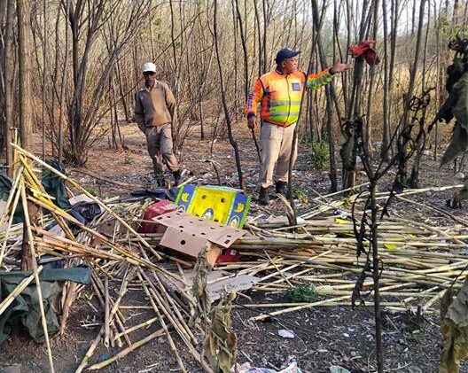 The Ekurhuleni Metropolitan Police Department removed three unauthorised structures in Edenvale following community complaints, ensuring public safety and compliance with municipal bylaws.