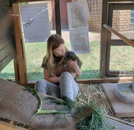 A surprise litter of baby rabbits has stolen the hearts of residents at Elphin Lodge retirement village, turning an ordinary day into a heartwarming community story.