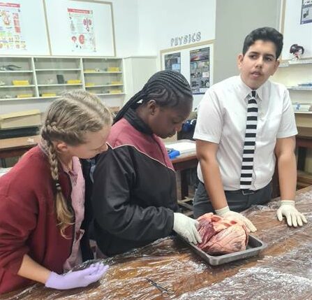 Grade Six learners showcased their science skills at the Jeppe High School for Boys Science Olympics, where Dario and Katherine proudly took first place in their respective categories.
