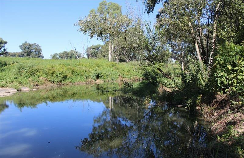 Explore 275 hectares of grasslands, wetlands and walking trails just northeast of Johannesburg, ideal for picnics, birdwatching and outdoor relaxation.