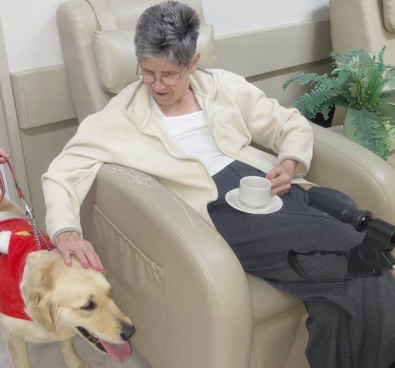 Therapy dog visit sparks memories for seniors and smiles ahead of Christmas.