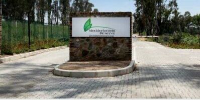 Just northeast of Johannesburg, Modderfontein Nature Reserve offers 275 hectares of grasslands, walking trails, picnic spots and birdwatching opportunities for a peaceful festive season.