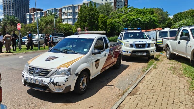 Posselt Park is currently a crime scene following the discovery of a body in its marshy swamp.