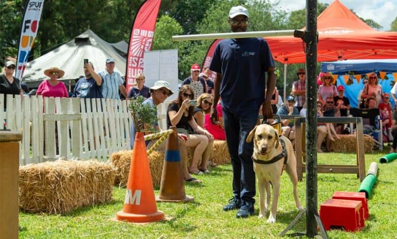 Guide dogs offer independence for visually impaired South Africans