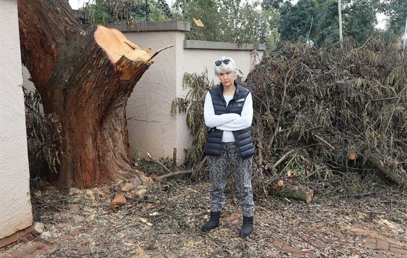 A concerned Bedfordview resident feels that there should be alternative problem-solving methods instead of removing trees during developments or property invasions by the tree roots.