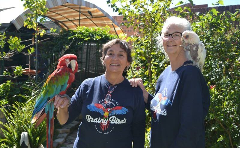 Brainy Birds appeals for long-lasting support