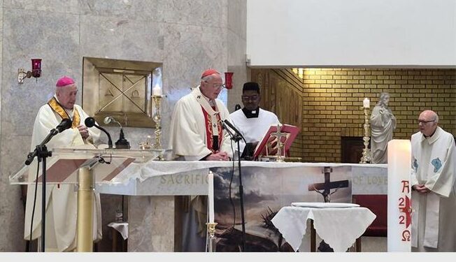 Robin Lydall has been awarded one of the Holy See’s highest honours, recognising his 33 years of service on St Benedict’s College board and his lifelong commitment to Catholic education and values.