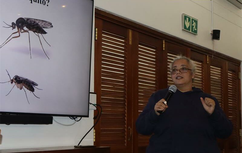 Guest speaker at the Probus Bedfordview meeting explains how the smallest human nemesis evolved from being a plant eater to a blood sucker.